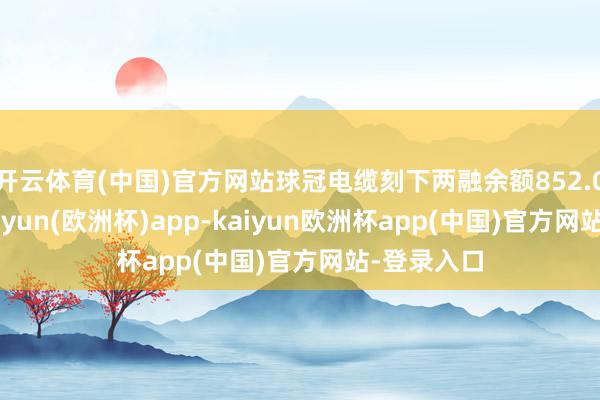 开云体育(中国)官方网站球冠电缆刻下两融余额852.06万元-kaiyun(欧洲杯)app-kaiyun欧洲杯app(中国)官方网站-登录入口