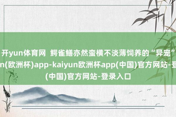 开yun体育网  　　鳄雀鳝亦然蛮横不淡薄饲养的“异宠”-kaiyun(欧洲杯)app-kaiyun欧洲杯app(中国)官方网站-登录入口